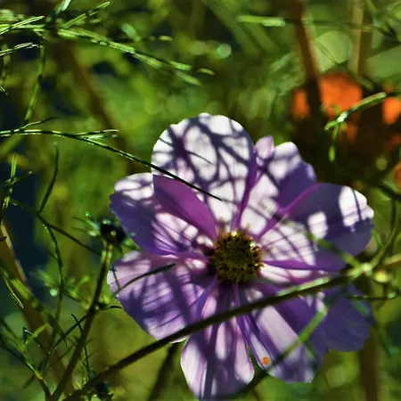 Im Garten 9 Apartment