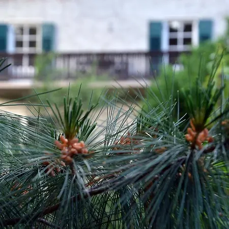 Apartment Im Garten 9