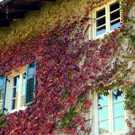 Apartment Im Garten 9 *